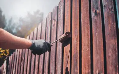 Why Deck Staining Lasts Longer Than Deck Paint